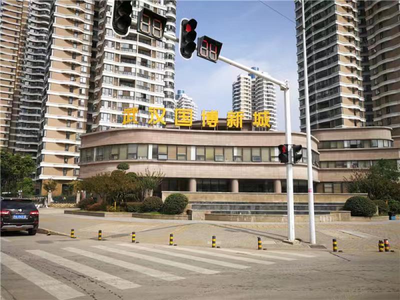  湖北武漢國博新城D13、D14地塊